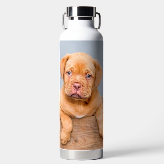 犬の最高の母への写真とカスタム文字 ウォーターボトル (正面)