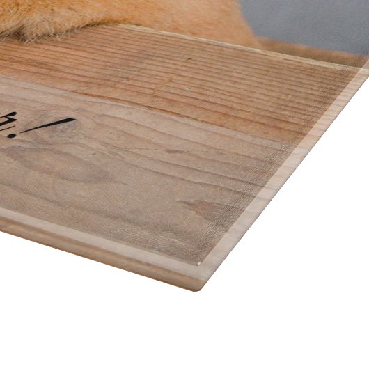 犬の最高の母への写真とカスタム文字 カッティングボード (角)