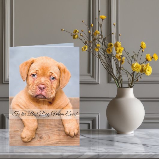 犬の最高の母への写真とカスタム文字 シーズンカード