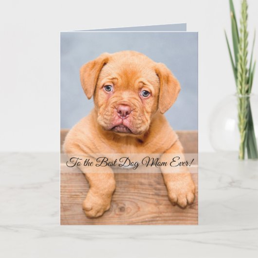 犬の最高の母への写真とカスタム文字 シーズンカード (正面)