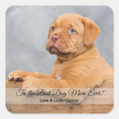 犬の最高の母への写真とカスタム文字 スクエアシール (正面)
