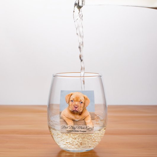 犬の最高の母への写真とカスタム文字 ステムなしワイングラス