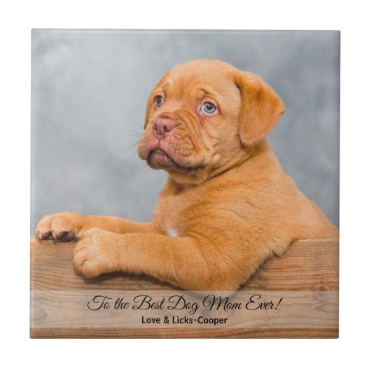 犬の最高の母への写真とカスタム文字 タイル (正面)