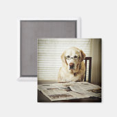 犬の朝のルーチン マグネット (正面/裏面)