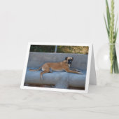 犬の横たわる肖像 カード (正面)