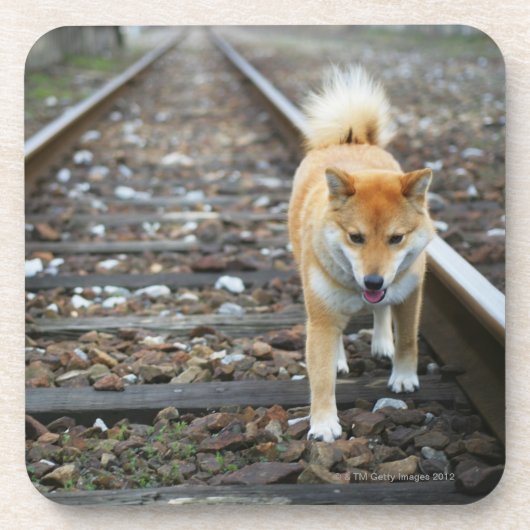 犬の歩くトラック コースター (正面)