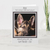 犬の母おもしろい幸せな母の日かわいい犬ウンチ カード (正面)