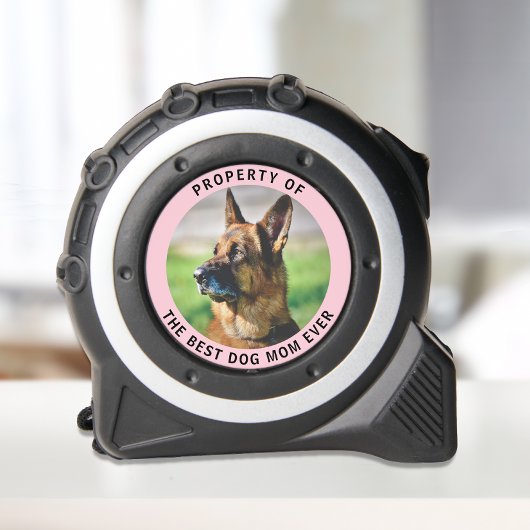 犬の母の最高の財産は今まで写真 メジャー