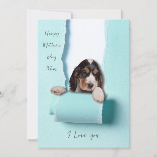 犬の母の母の日のカードリッピング紙犬のぞき サンキューカード (正面)