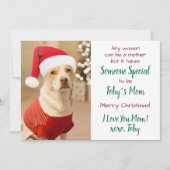犬の母カスタムさんペット写真メリークリスマス シーズンカード (正面)