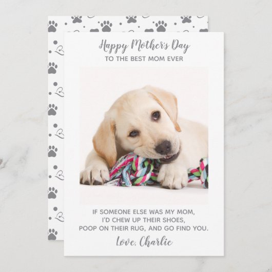 犬の母パーソナライズされたペット写真マおもしろいザーズ日 シーズンカード (正面/裏面)