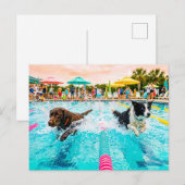 犬の水泳大会 ポストカード (正面/裏面)