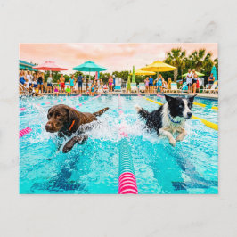 犬の水泳大会 ポストカード