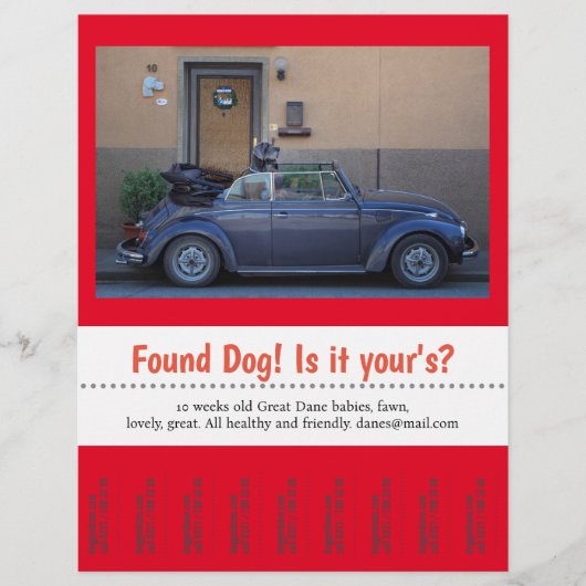 犬の涙が見つかった チラシ (正面)