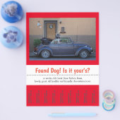 犬の涙が見つかった チラシ (シングル)