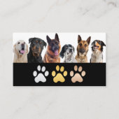 犬の混合品種 | 動物気に 名刺 (正面)