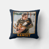 『犬の父の擦り切れた姿』 クッション (裏面)