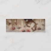 犬の犬のプロファイルカード スキニー名刺 (裏面)