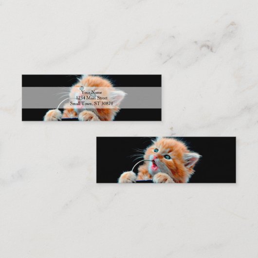 犬の猫がおもちゃをかむ スキニー名刺 (正面/裏面)