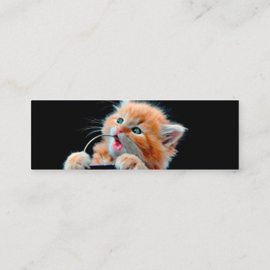 犬の猫がおもちゃをかむ スキニー名刺 (裏面)