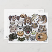 犬の猫 ポストカード (正面/裏面)