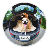 犬の生命魚目レンズのかわいいおもしろい セラミックノブ (正面)