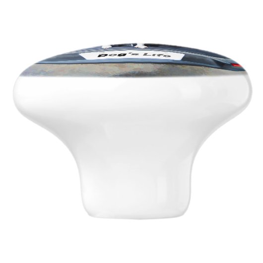 犬の生命魚目レンズのかわいいおもしろい セラミックノブ (側面)