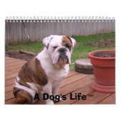 犬の生命 カレンダー (カバー)