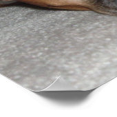 犬の生活 ポスター (角)