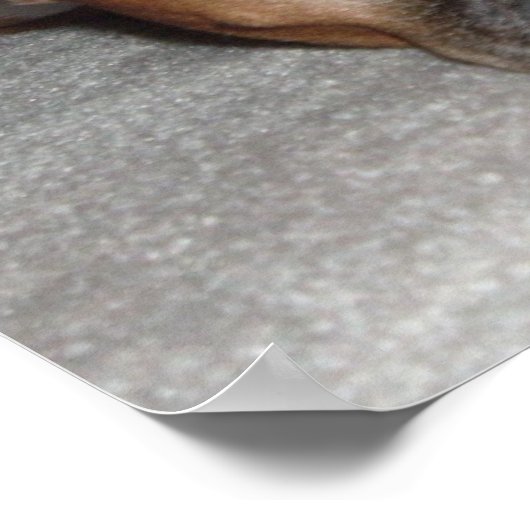 犬の生活 ポスター (角)