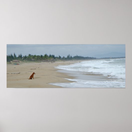 犬の生活 ポスター (正面)