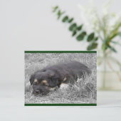 犬の疲れハガキ ポストカード (スタンド正面)