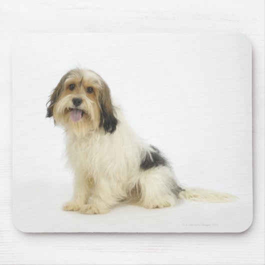 犬の白104 マウスパッド (正面)