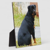 犬の目 フォトプラーク (側面)