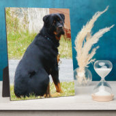 犬の目 フォトプラーク (側面)