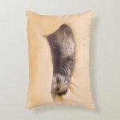 犬の眠り(アクセントクッション) アクセントクッション (正面(垂直))
