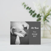 犬の眠るの白黒写真シンプル|過去記事 シーズンポストカード (スタンド正面)