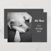 犬の眠るの白黒写真シンプル|過去記事 シーズンポストカード (正面/裏面)