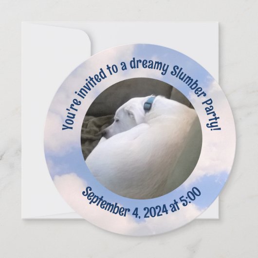 犬の眠る眠りのパーティの招待状 シーズンカード (正面)