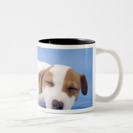 犬の睡眠 ツートーンマグカップ (右)