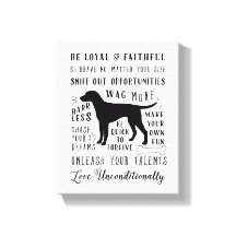 犬の知恵ペットハウス感動的のルール