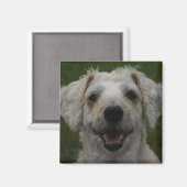 犬の磁石を溶かす マグネット (正面/裏面)