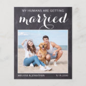 犬の素朴写真結婚予算は日付カードを保存 (正面)