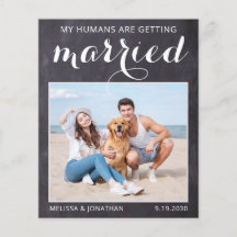 犬の素朴写真結婚予算は日付カードを保存