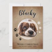 犬の素朴名前の写真メリークリスマスファミリー シーズンカード (正面)