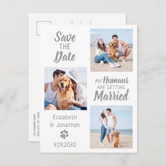 犬の結婚写真コラージュ日付を保存 案内ポストカード (正面/裏面)