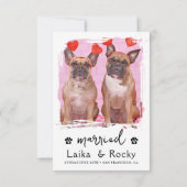 犬の結婚式の招待状 セーブザデート (裏面)