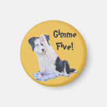 犬の絵画ポートレートの可愛いコリー縁どの子犬