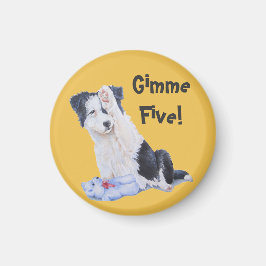 犬の絵画ポートレートの可愛いコリー縁どの子犬 マグネット