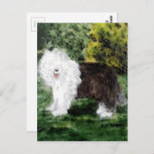 犬の絵画古いイギリスの牧羊犬 ポストカード (正面/裏面)